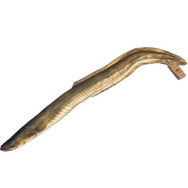 Gaby Plyšová ryba vankúš - Úhor 115 cm